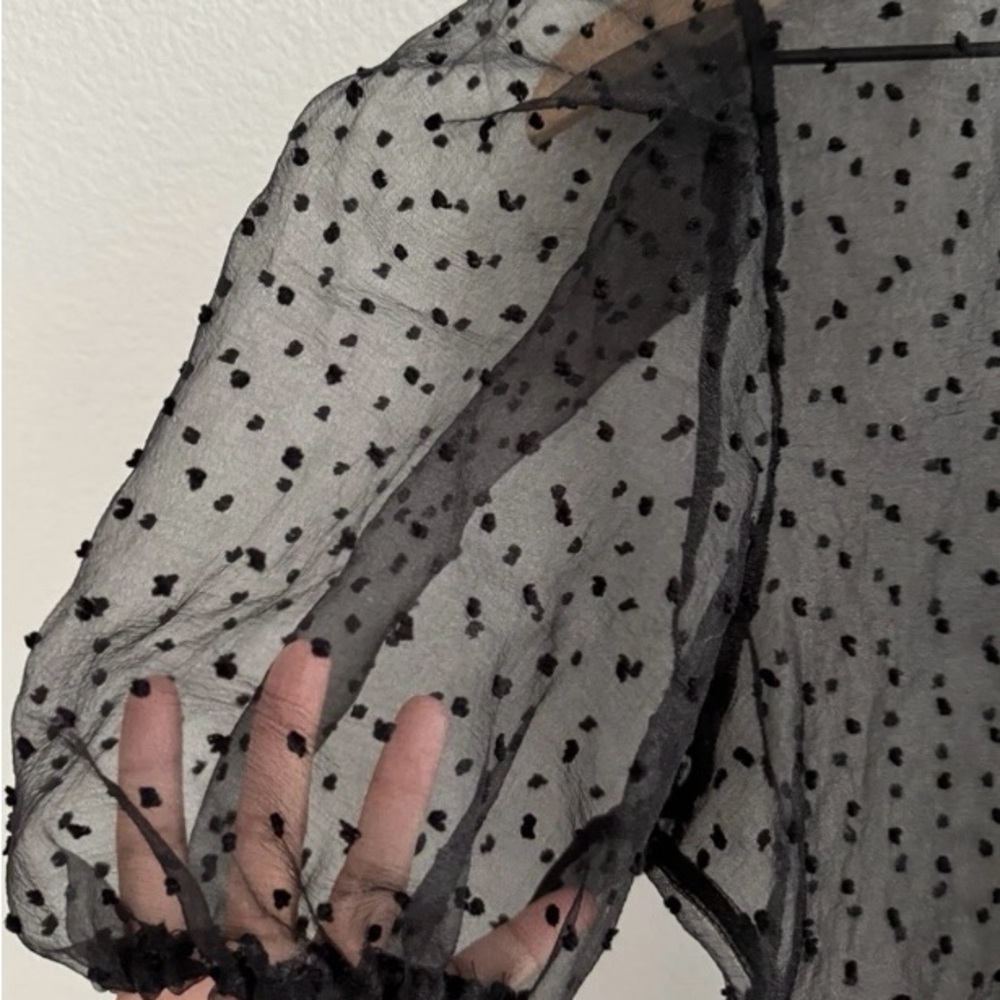Zara Black Sheer Polka Dot Top
